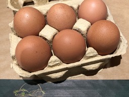 Eieren 6